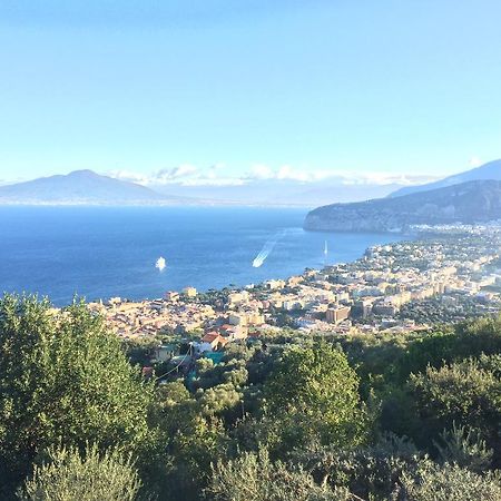 Villa Li Schisani Sorrento Kültér fotó